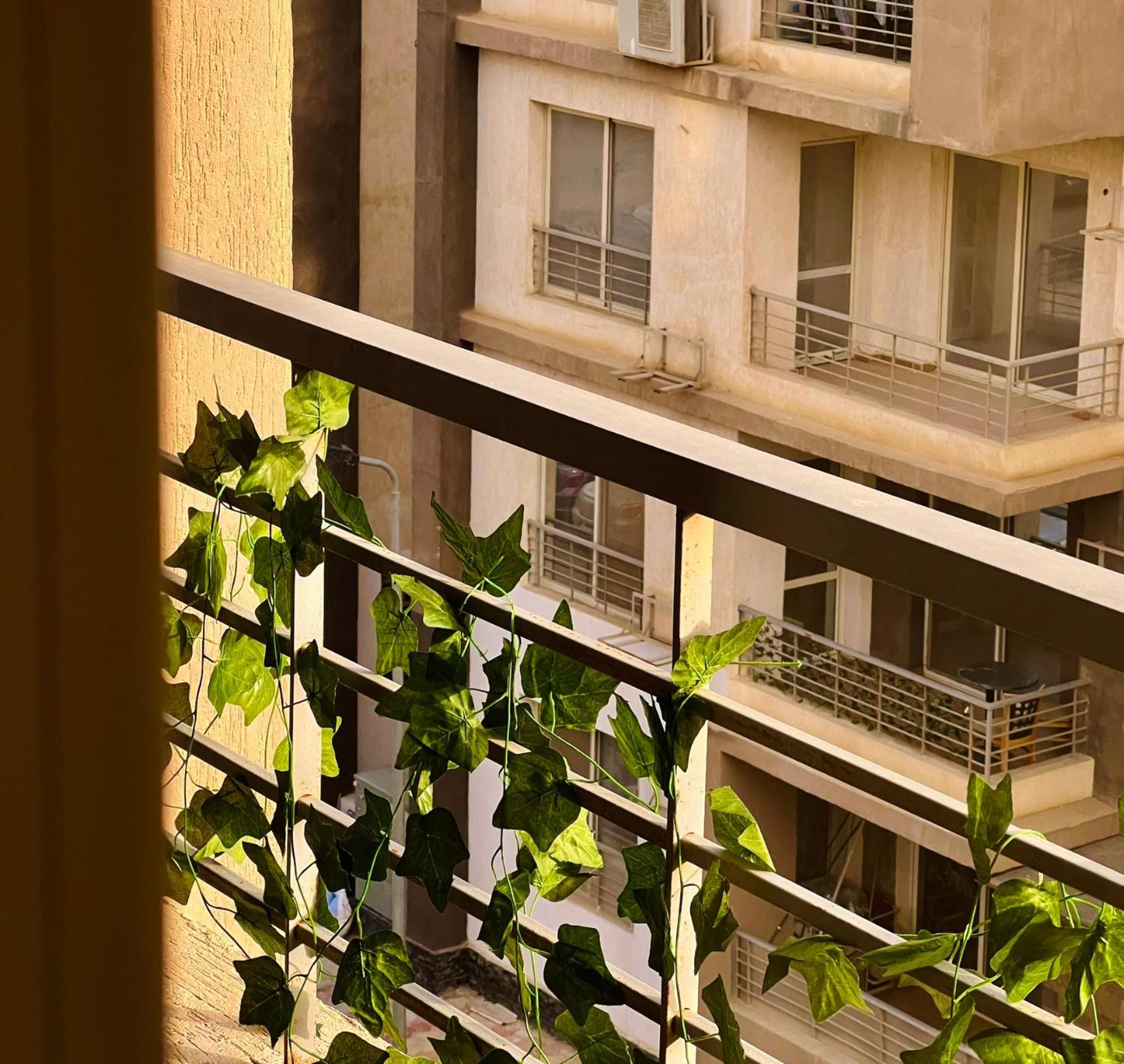 Apartment in New Cairo, Al-Rehab view 4
