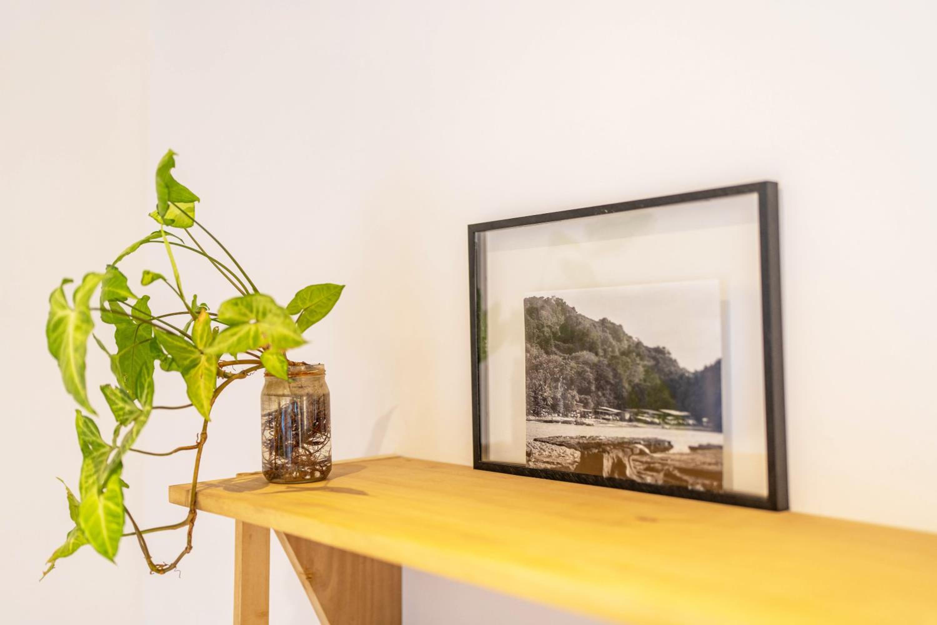 Alma Tropical - Luxury Villa Experience in Santa Teresa