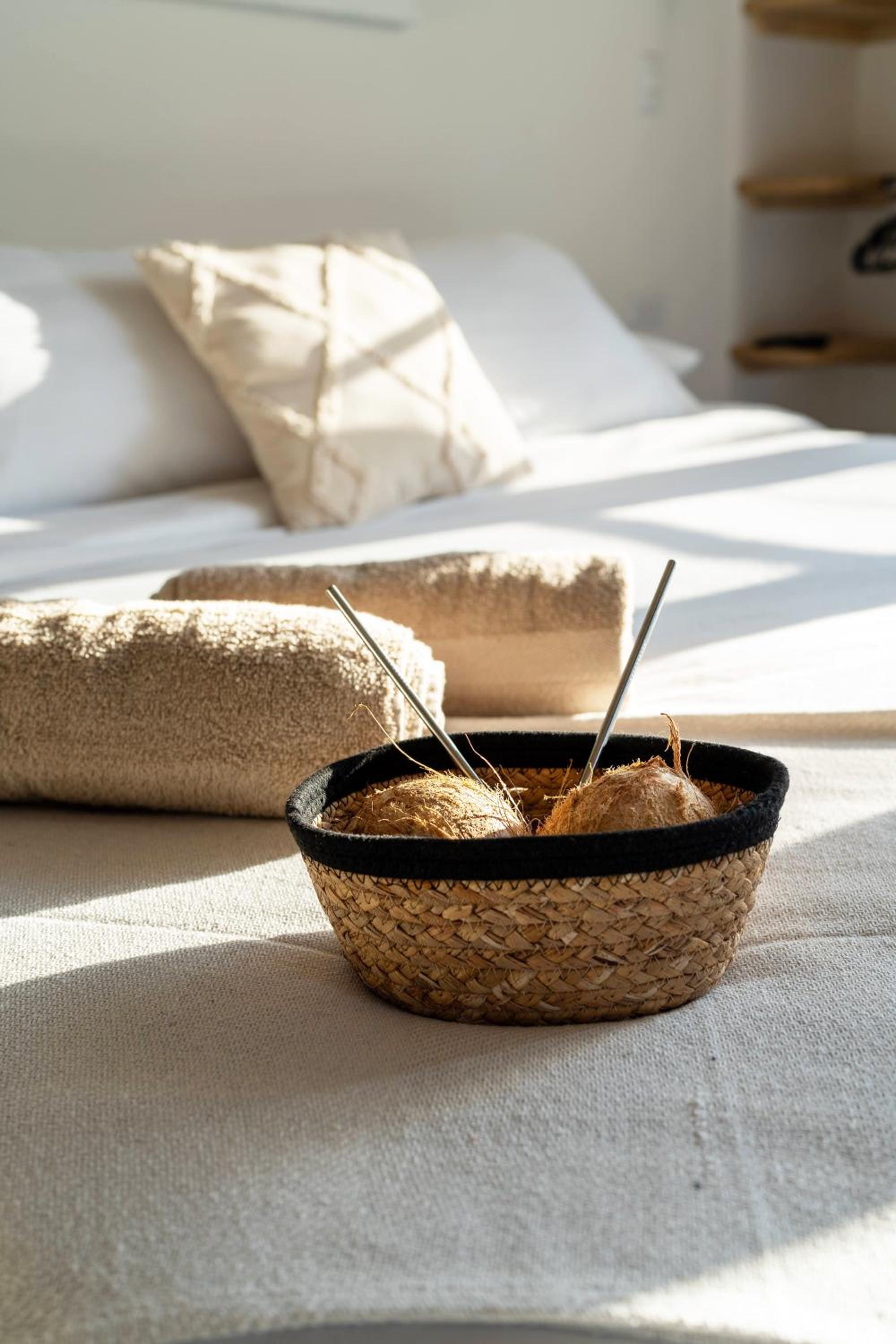 Alma Tropical - Luxury Villa Experience in Santa Teresa