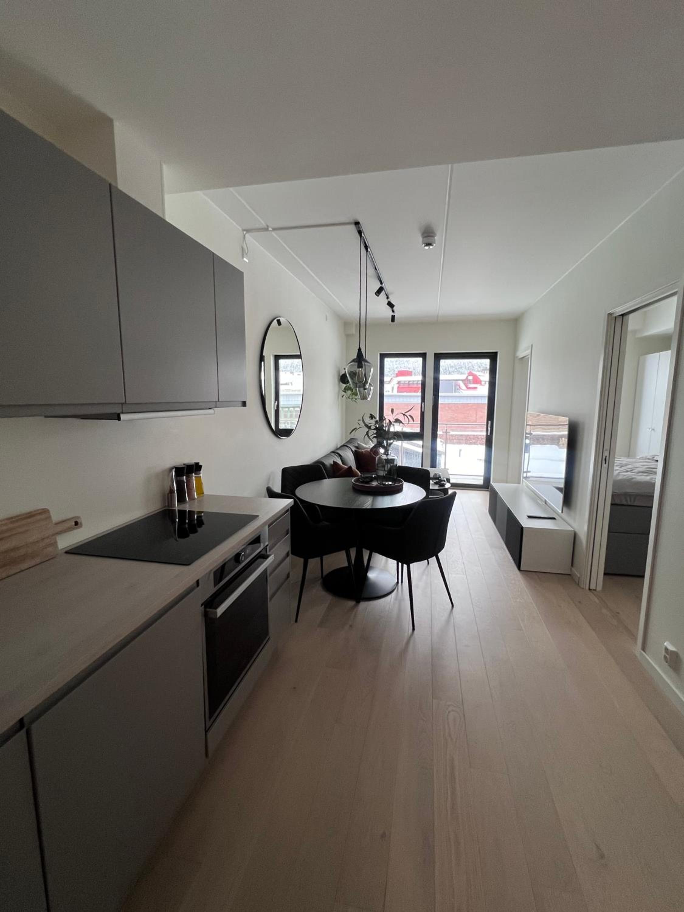 Sølvparken Apartments view 2