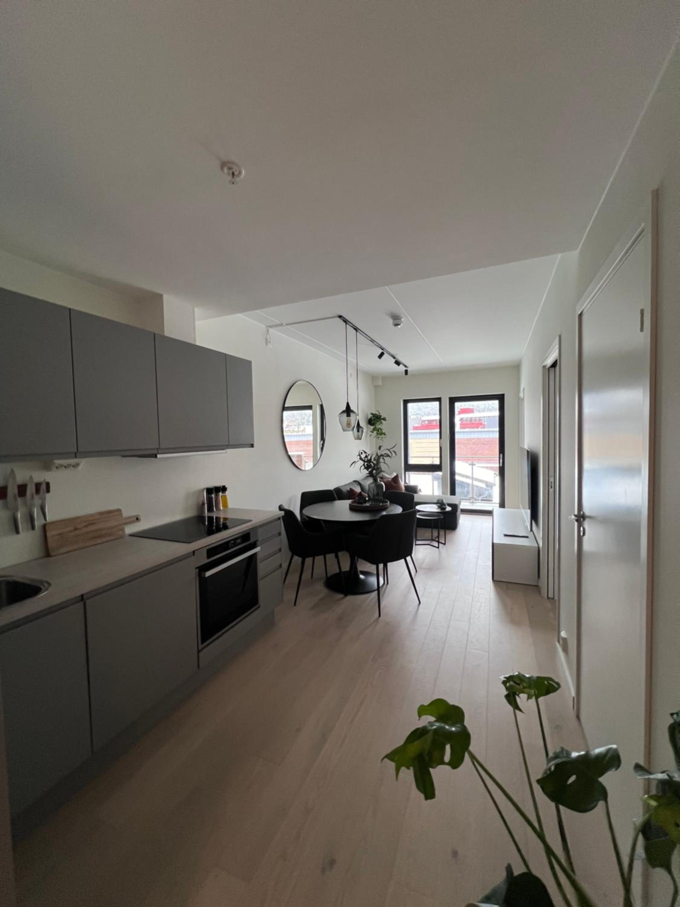 Sølvparken Apartments view 4