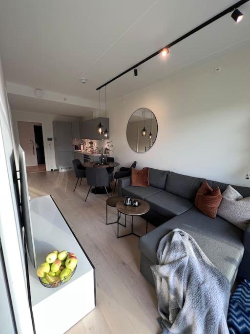 Sølvparken Apartments view 5