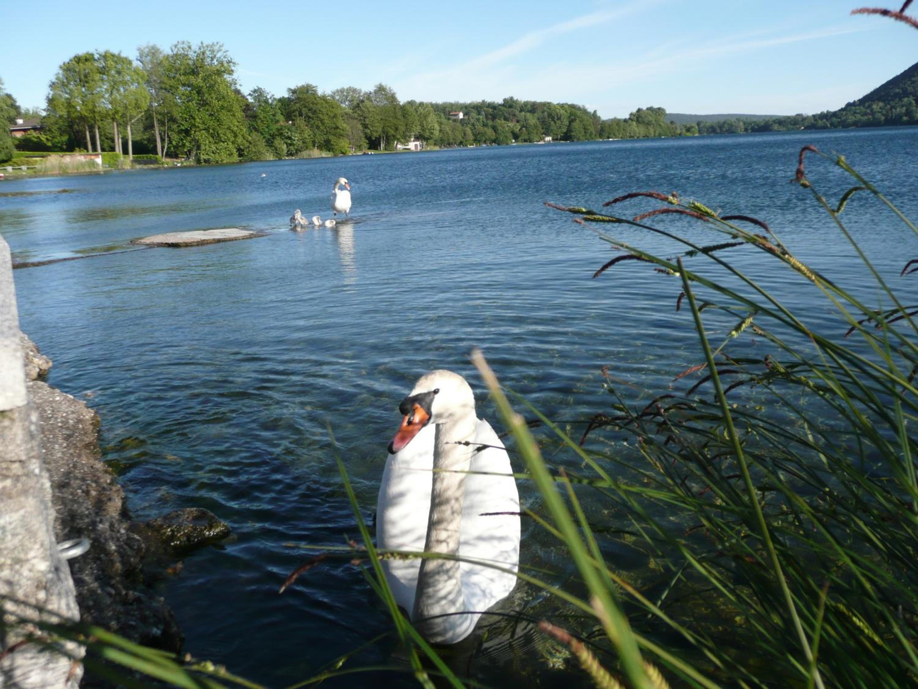Piccolo Lago view 4