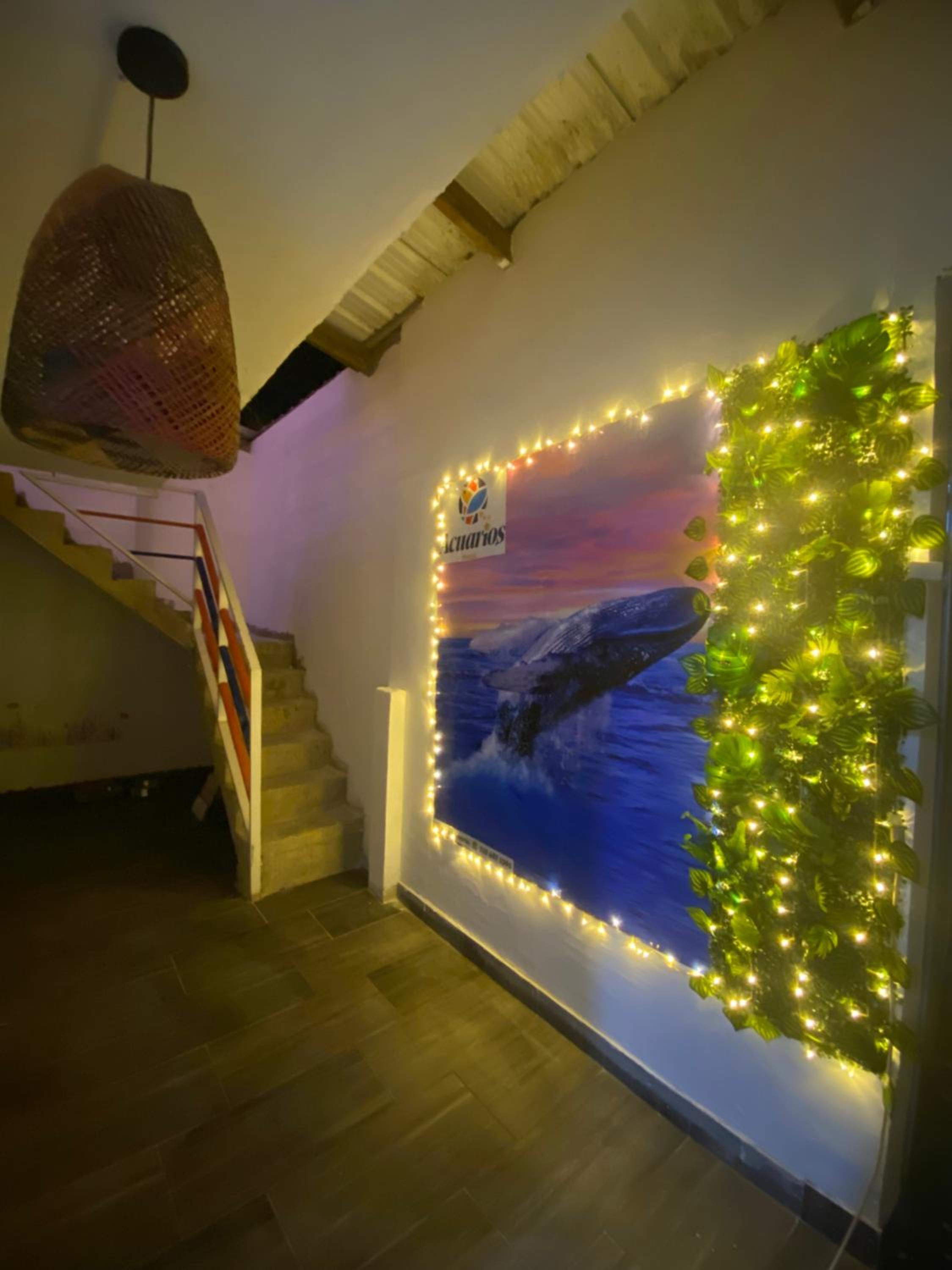 Acuarios Hostal