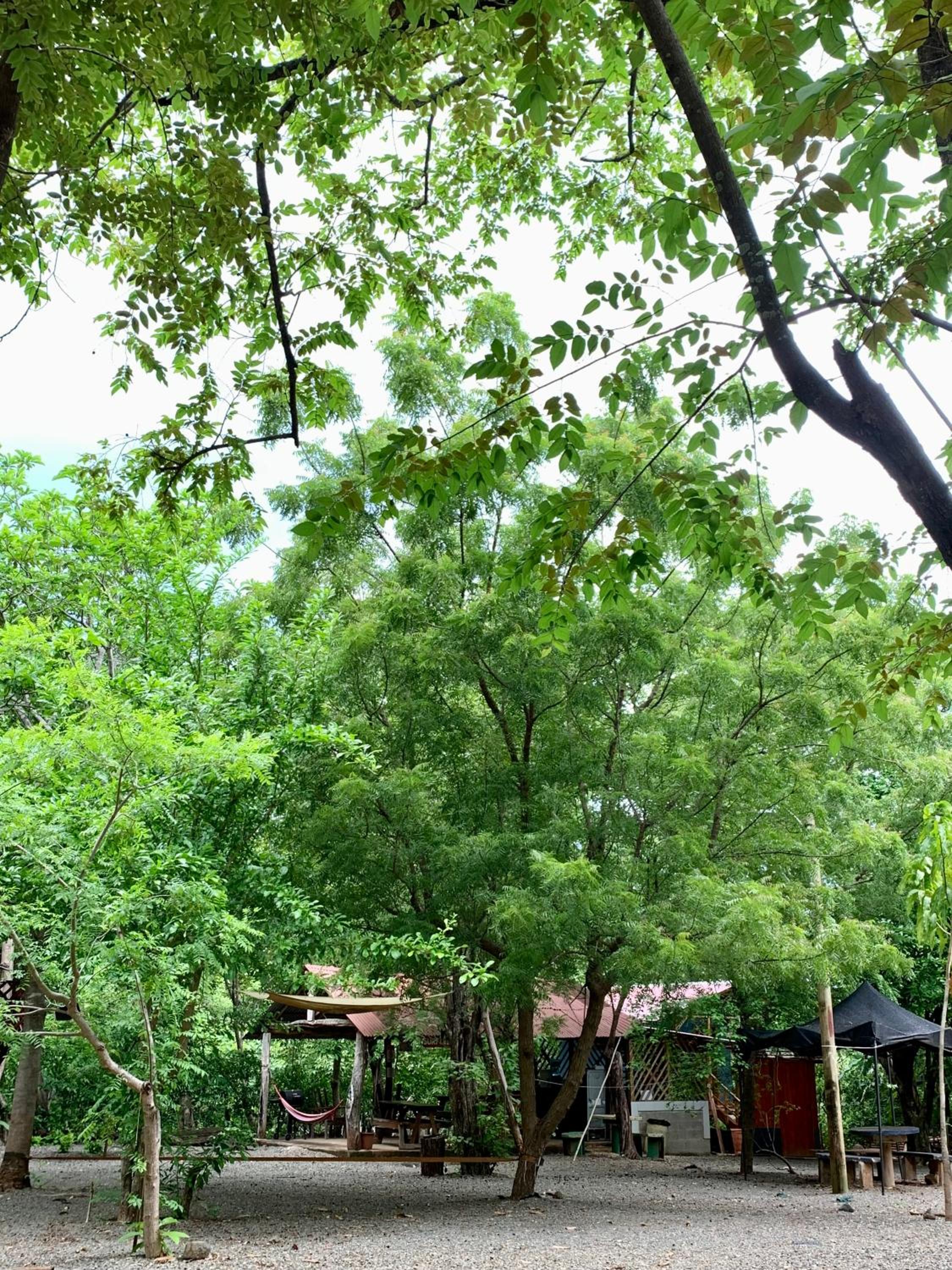 Nieves surf hostel and camping.