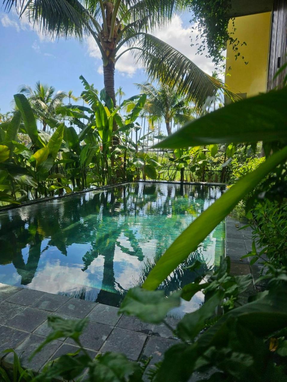 Faifo Retreat Villa Hội An