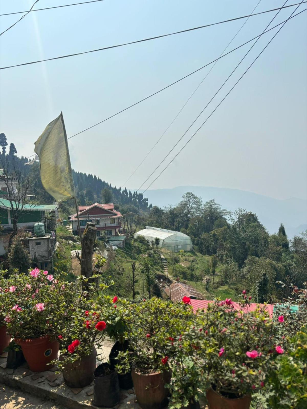 Sovan Phube Homestay
