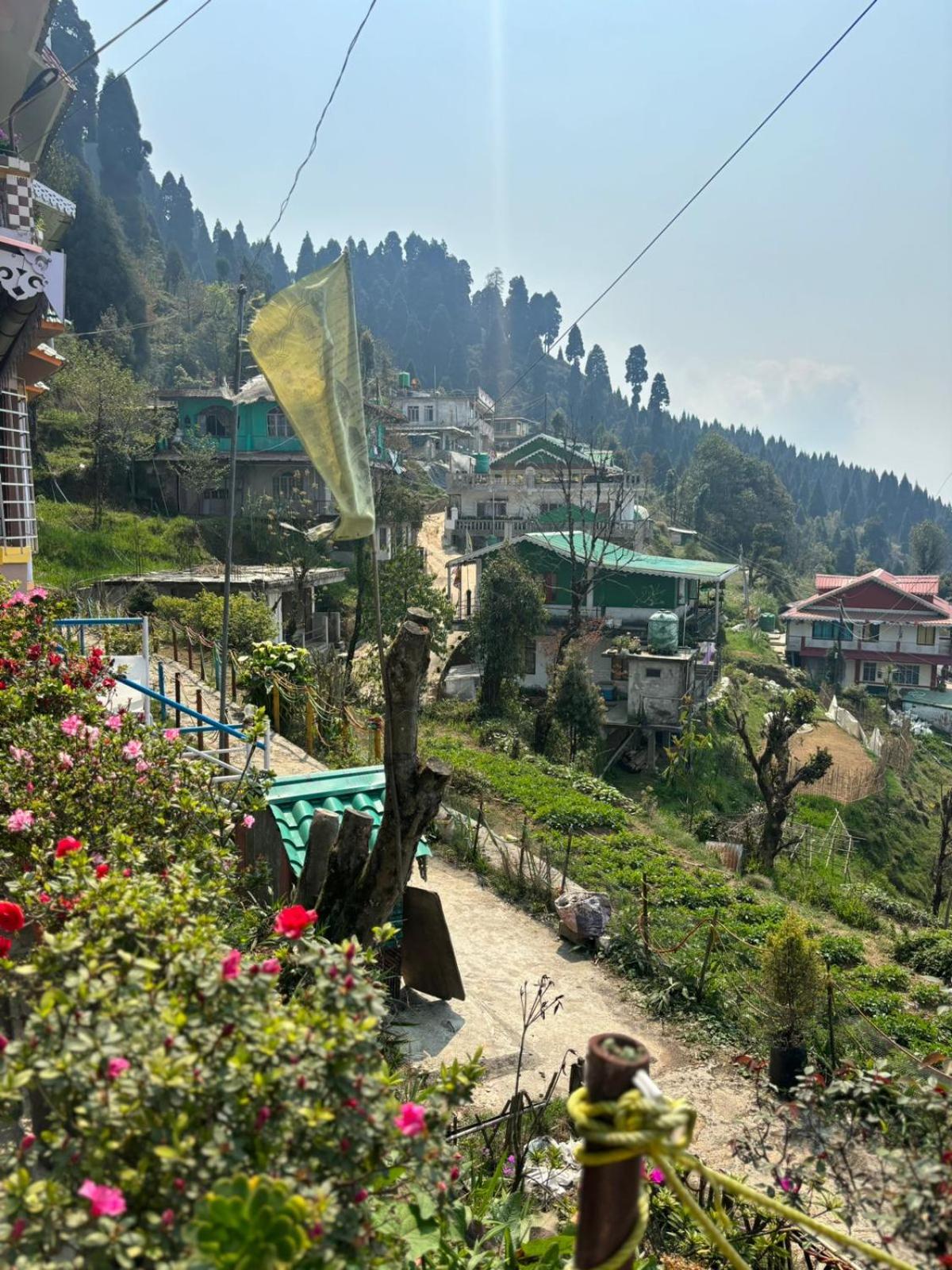Sovan Phube Homestay