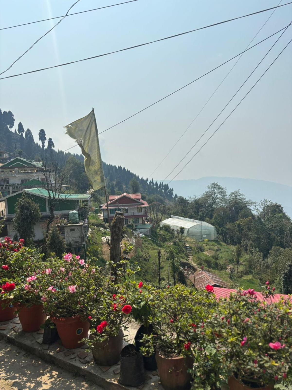 Sovan Phube Homestay