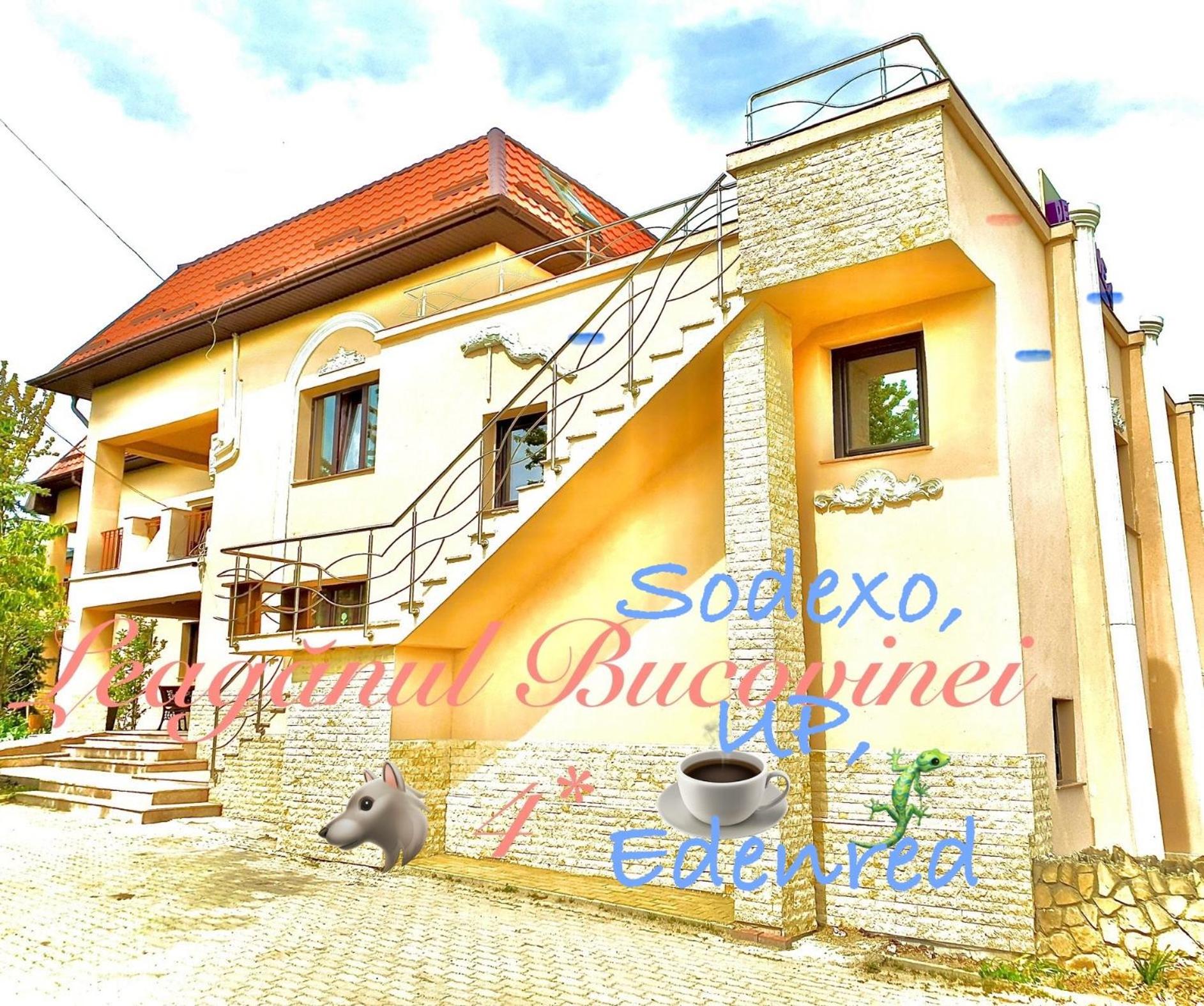 Leaganul Bucovinei Guest House view 2