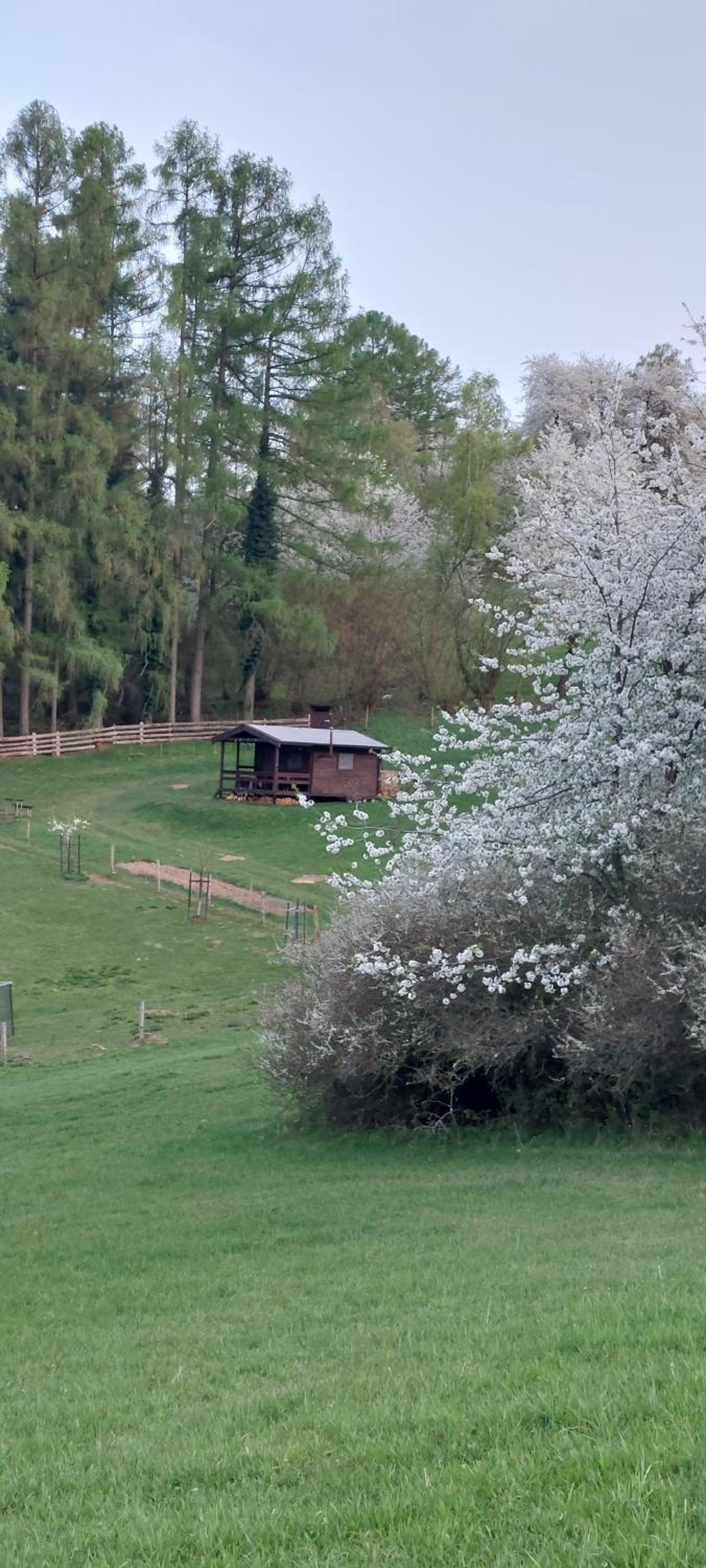 Chata na samotě, Šumava