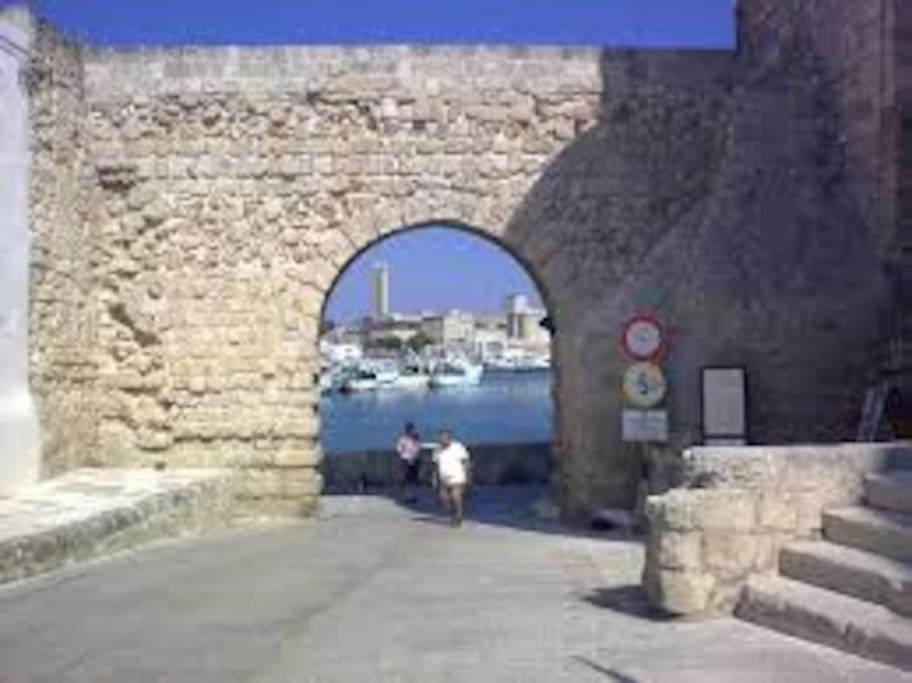 Photo 31