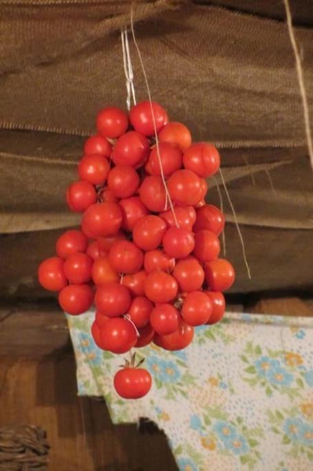Photo 44