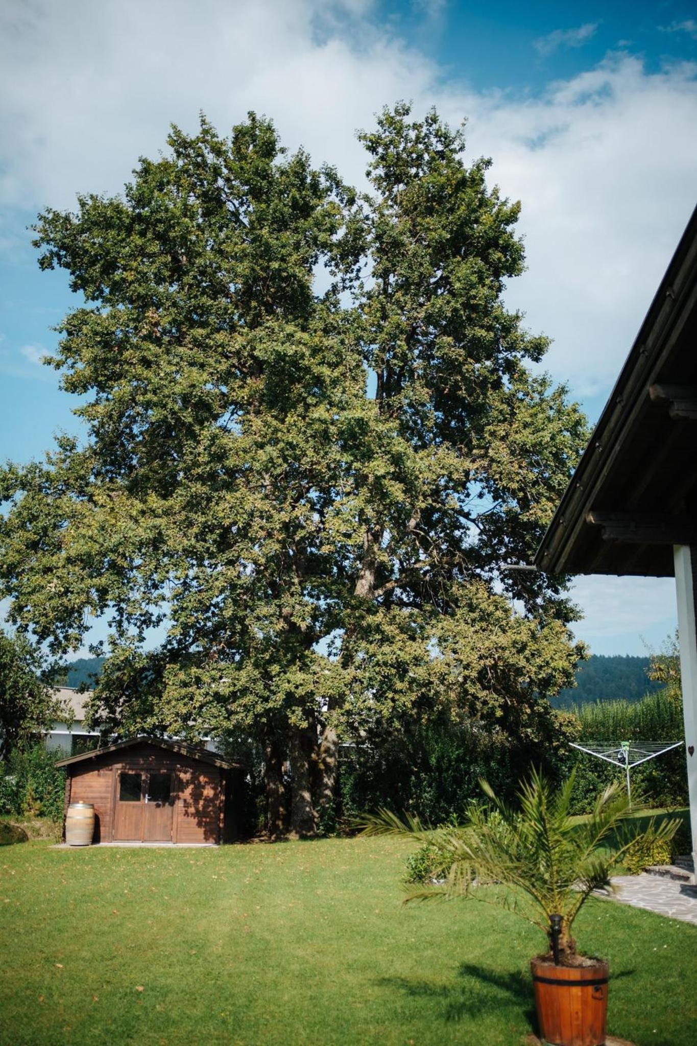 Villa Waidblick