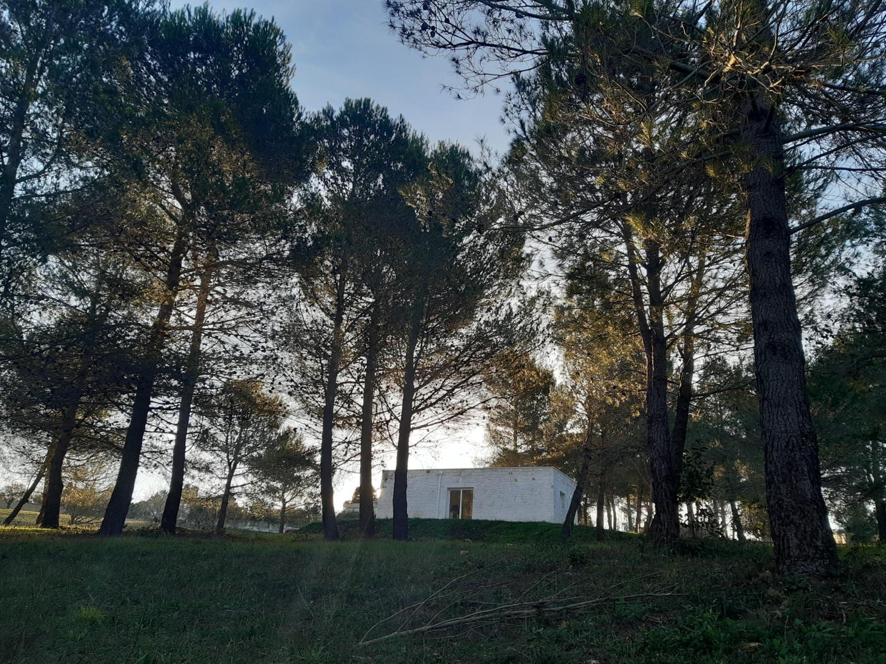 Puglia Essence - Ancient Lamia & Exclusive Pool view 3