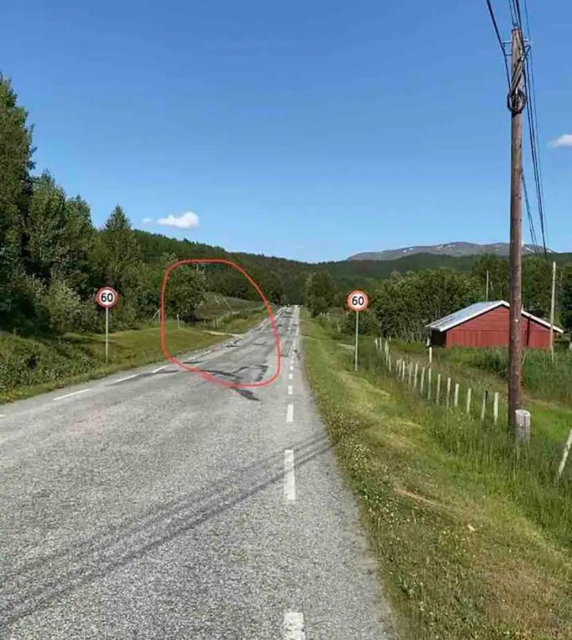 Photo 41