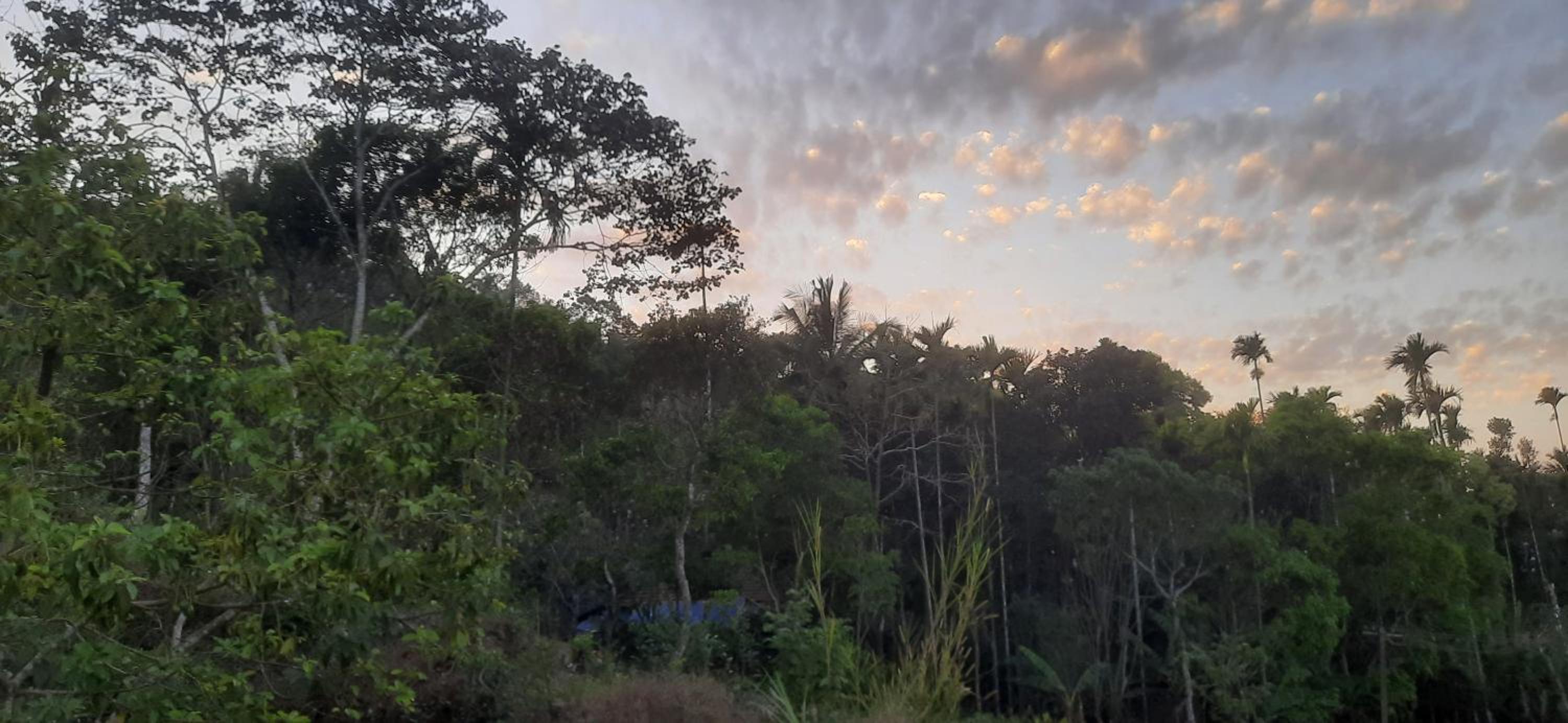 MISTY MOUNT VILLA MANANTHAVADY