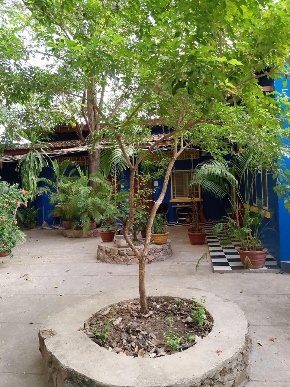 Photo 15