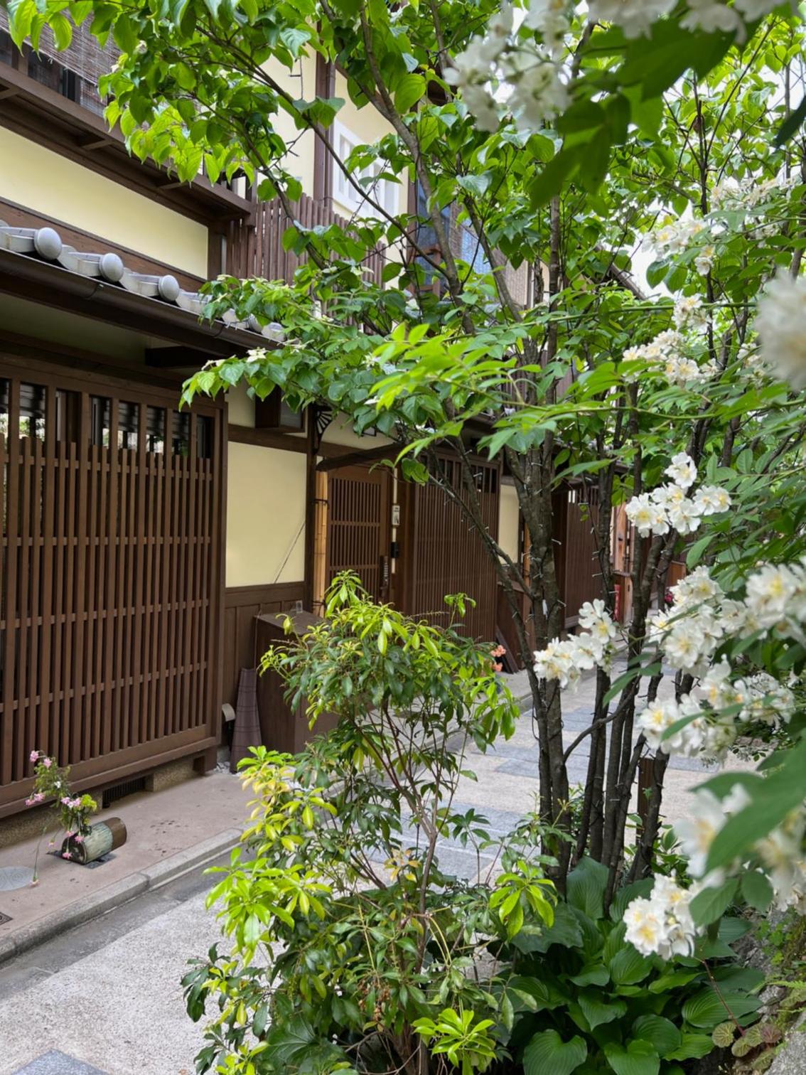 Imakumano Terrace - Kenzan An 乾山庵 view 5