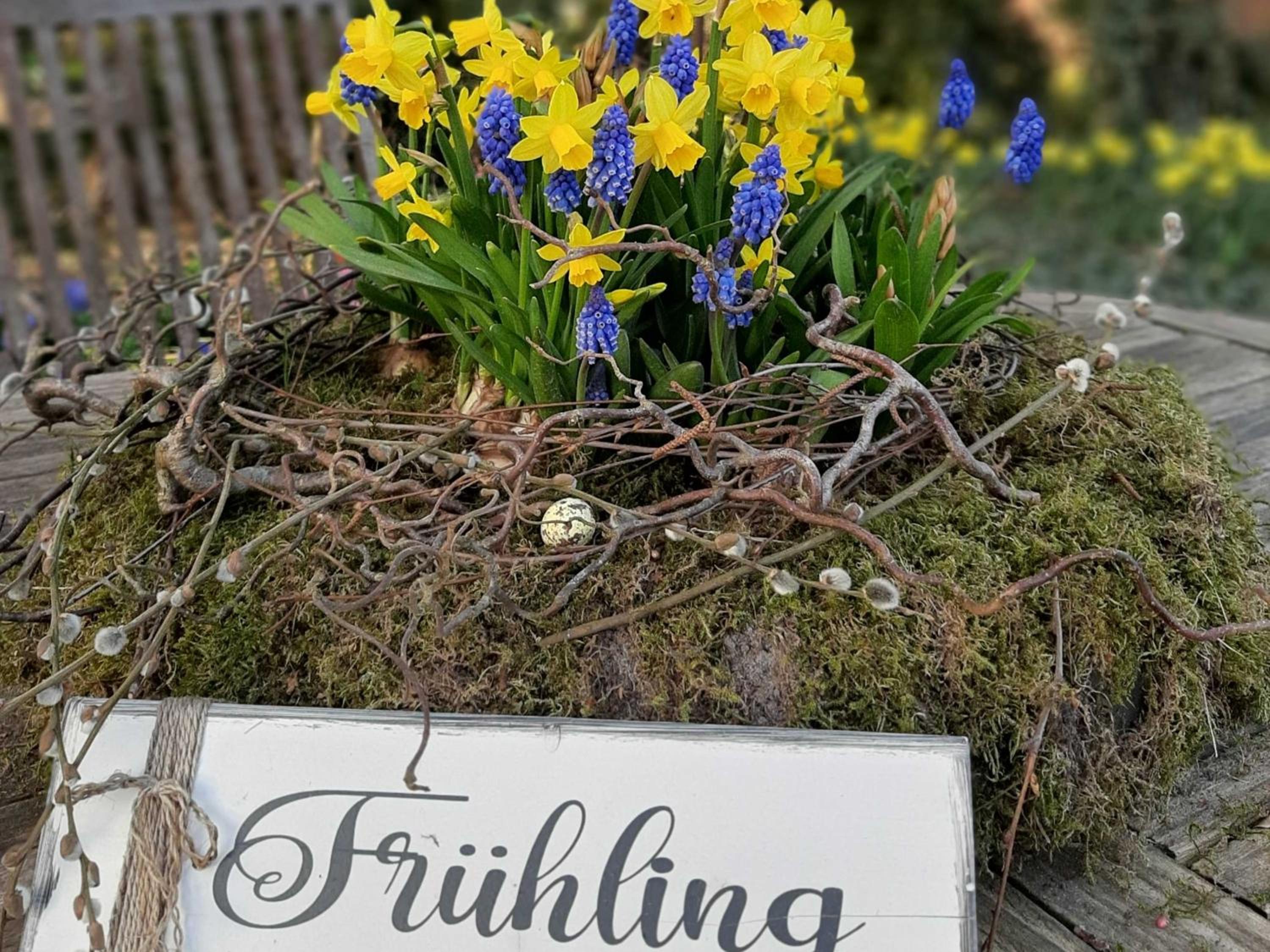 Ferienwohnungen Stellerbruch