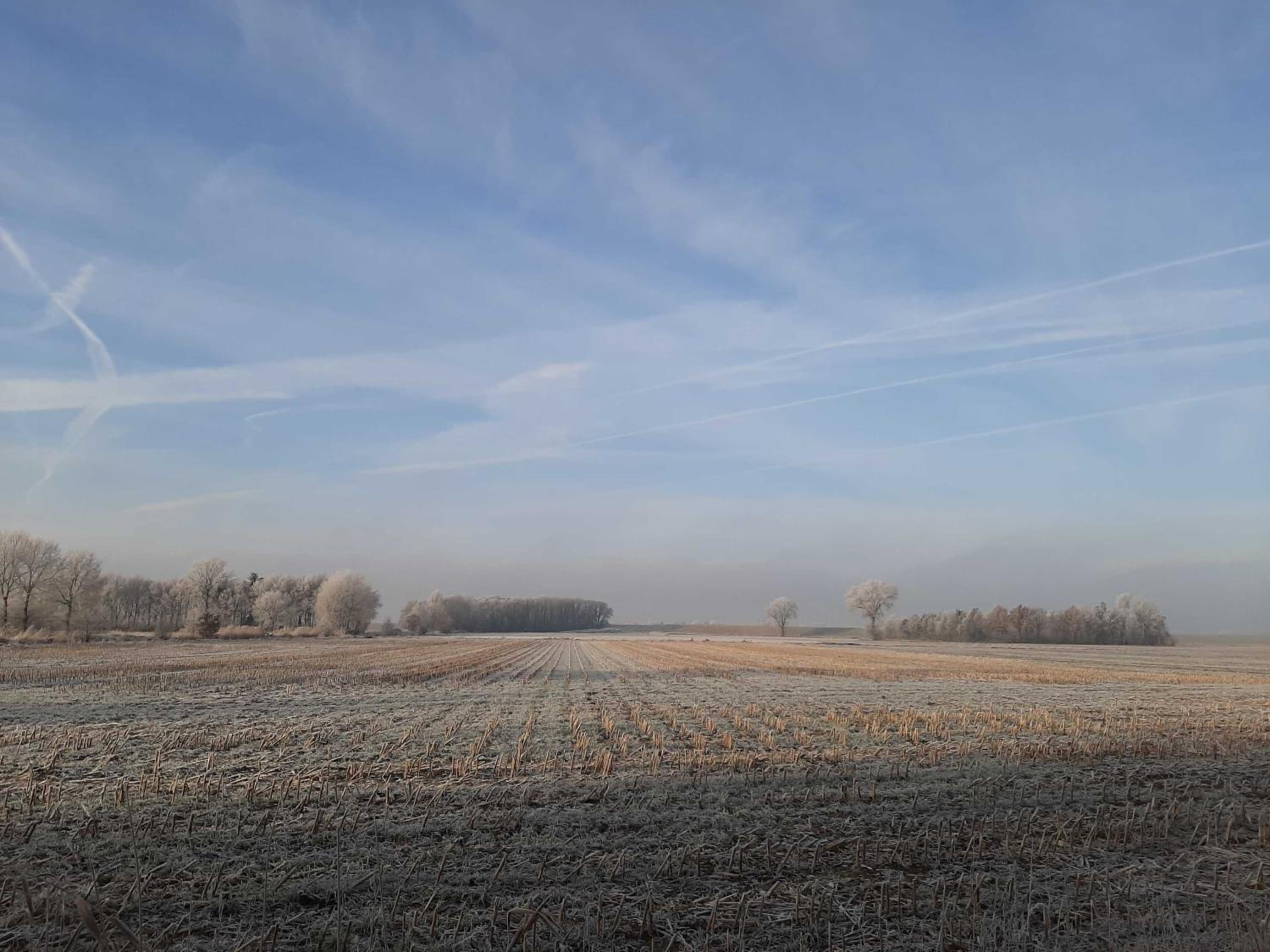 Ferienwohnungen Stellerbruch
