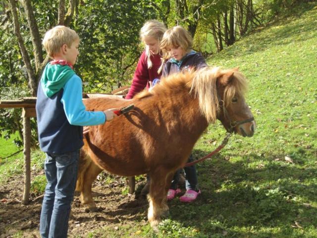 Bio Ferienbauernhof Greber - Natururlaub mit Ponys & Kaninchen