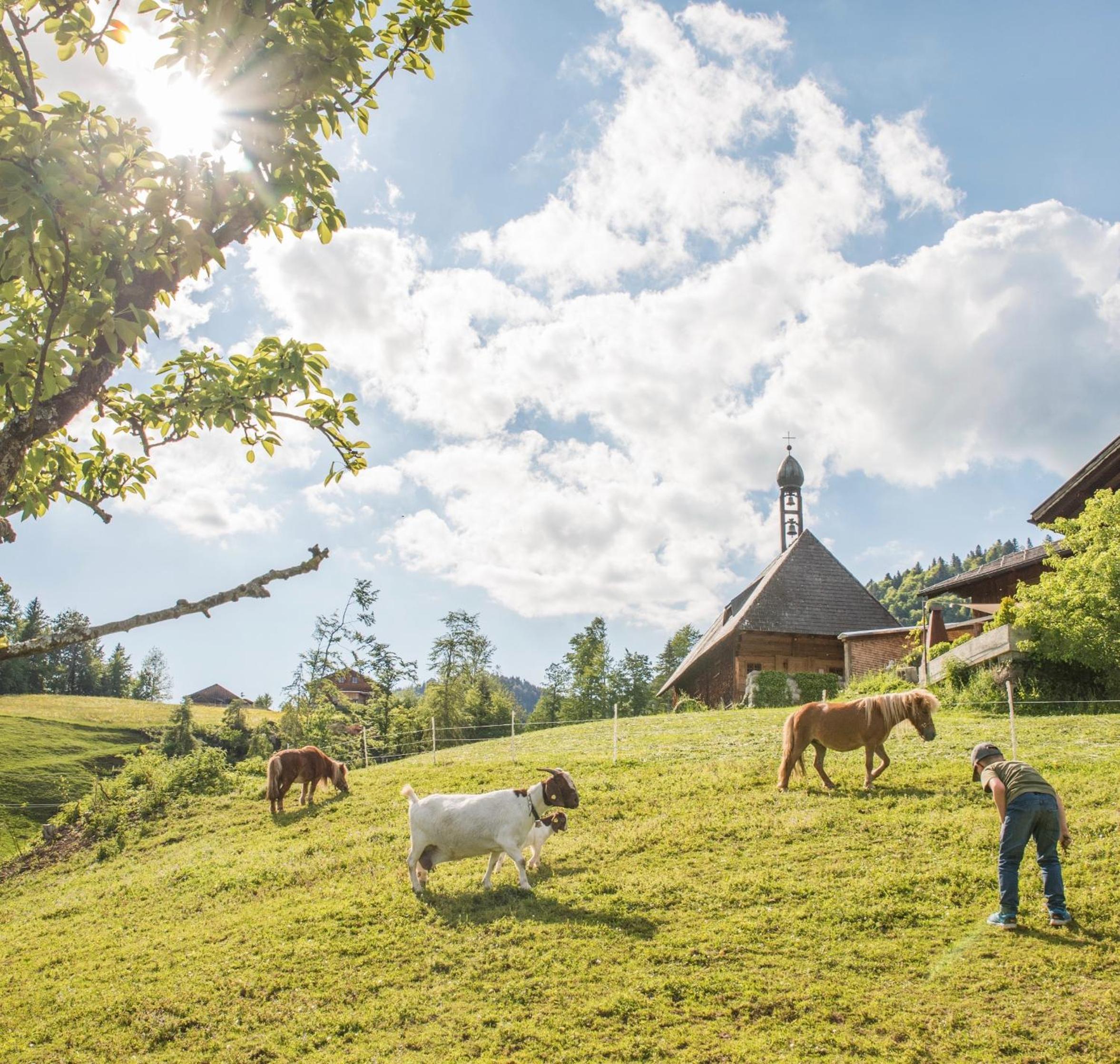 Bio Ferienbauernhof Greber - Natururlaub mit Ponys & Kaninchen