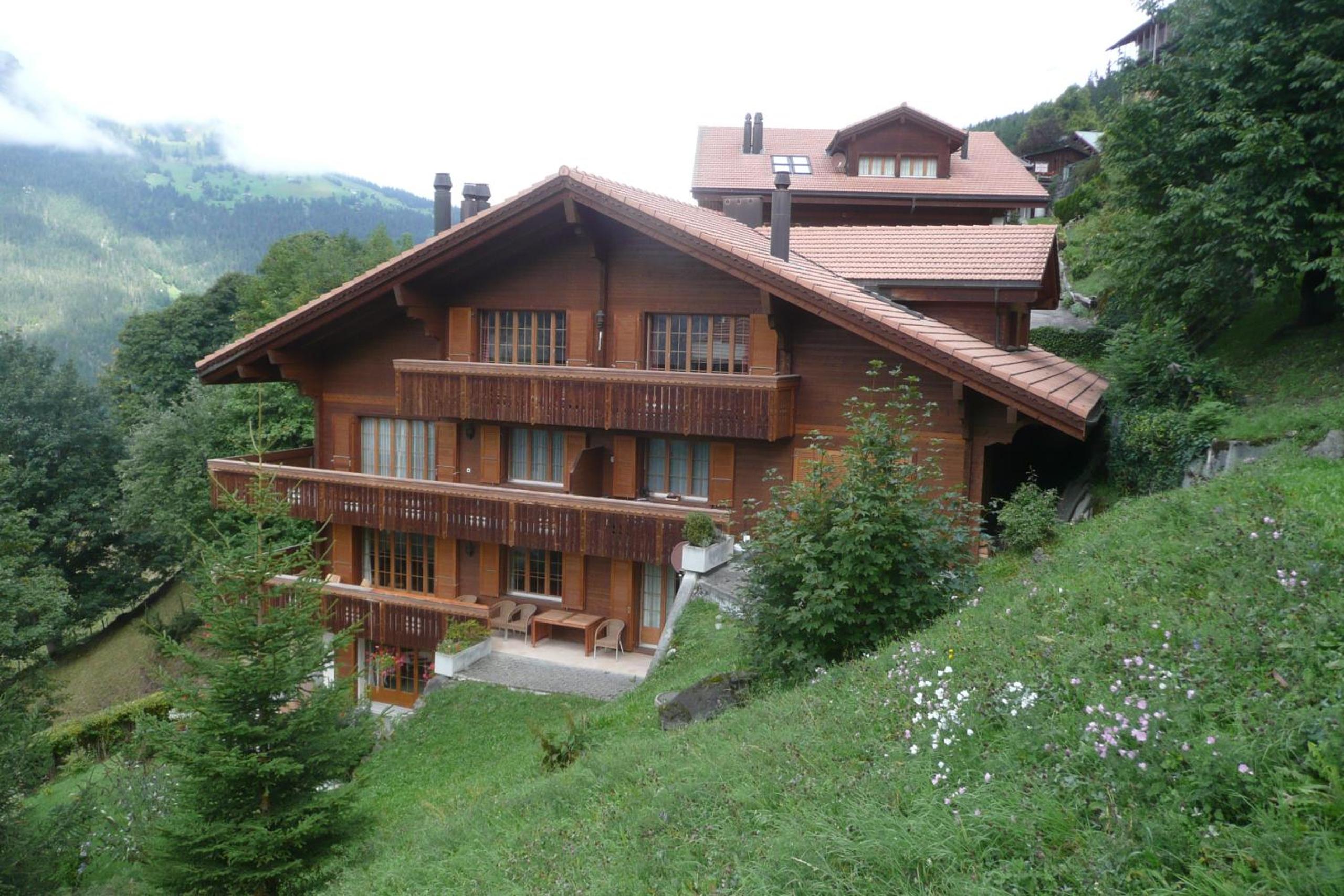 Chalet Panorama 1