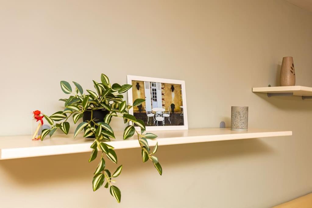 La Primavera Spacious Apartment