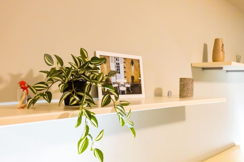 La Primavera Spacious Apartment
