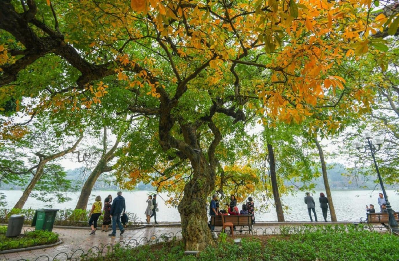 Amazing View, Natural View, 3' To Hoan Kiem Lake, Free Wifi, Netflix, 2 Beds, 1 Toilet-2 Showers