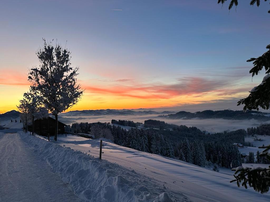 Wald & Wiesen Landhaus Kurzemann - nahe Bodensee