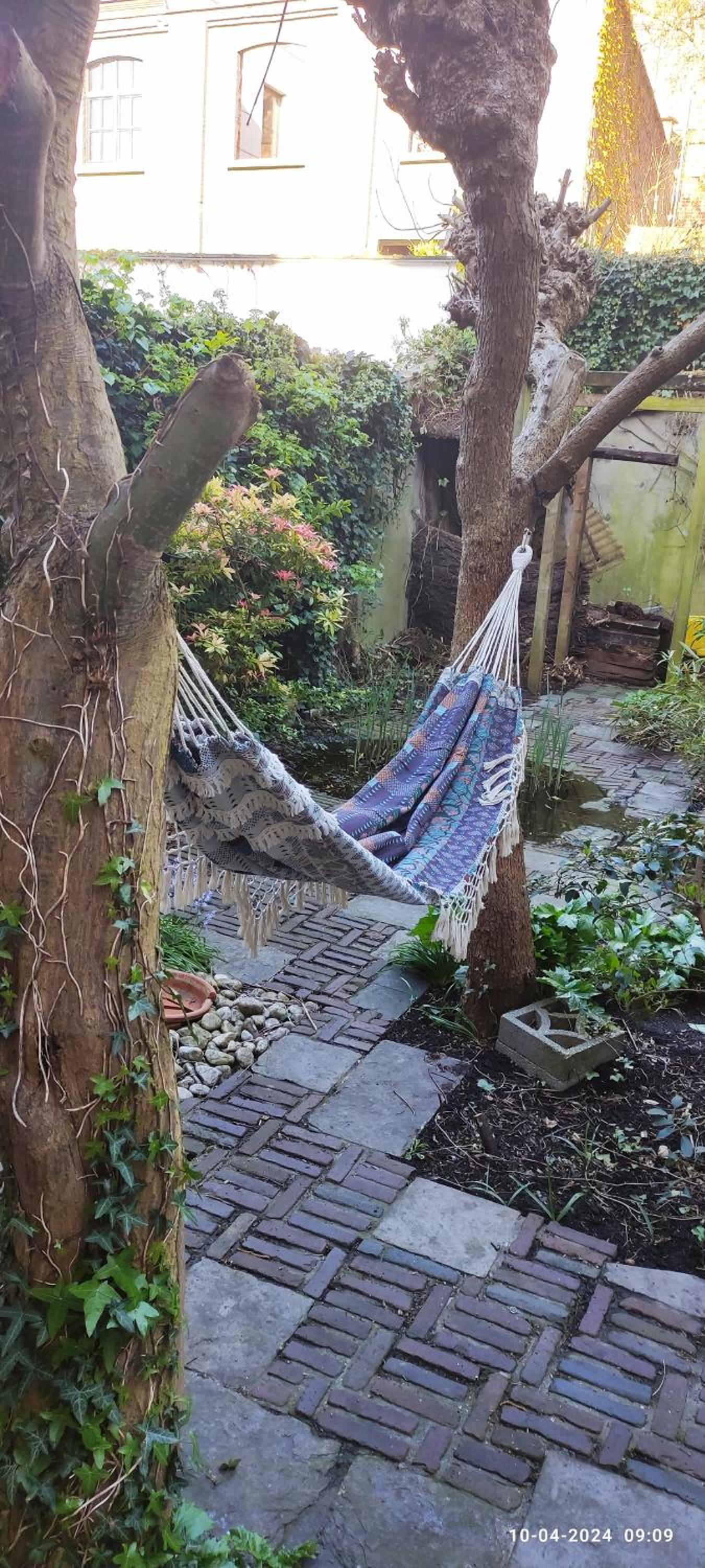 De Wijngaard