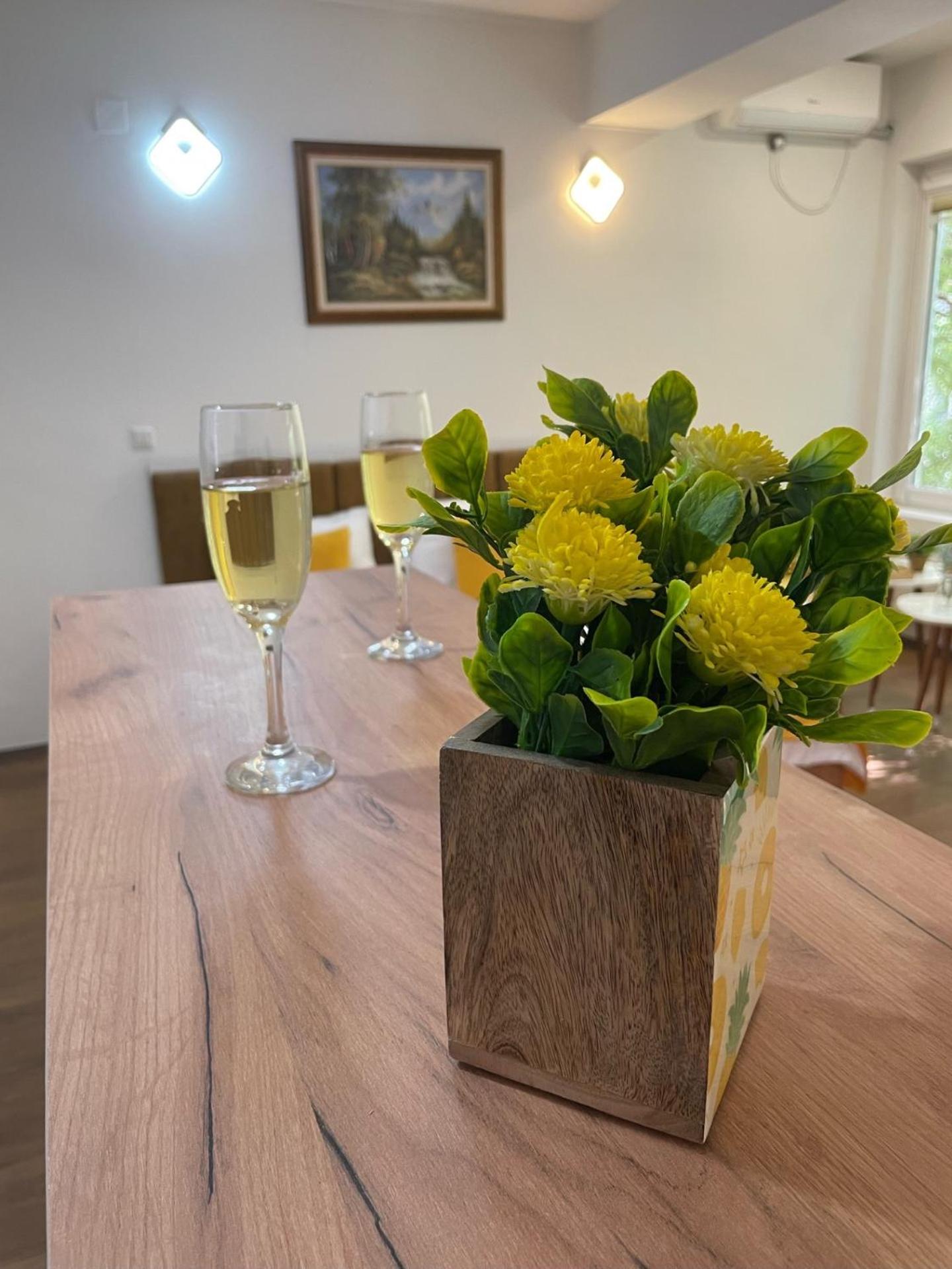 Kamche apartment