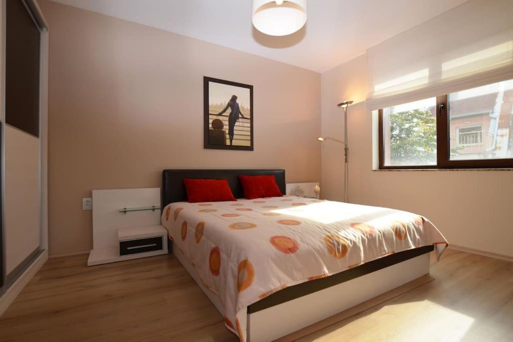 Beautiful apartment in the heart of Plovdiv