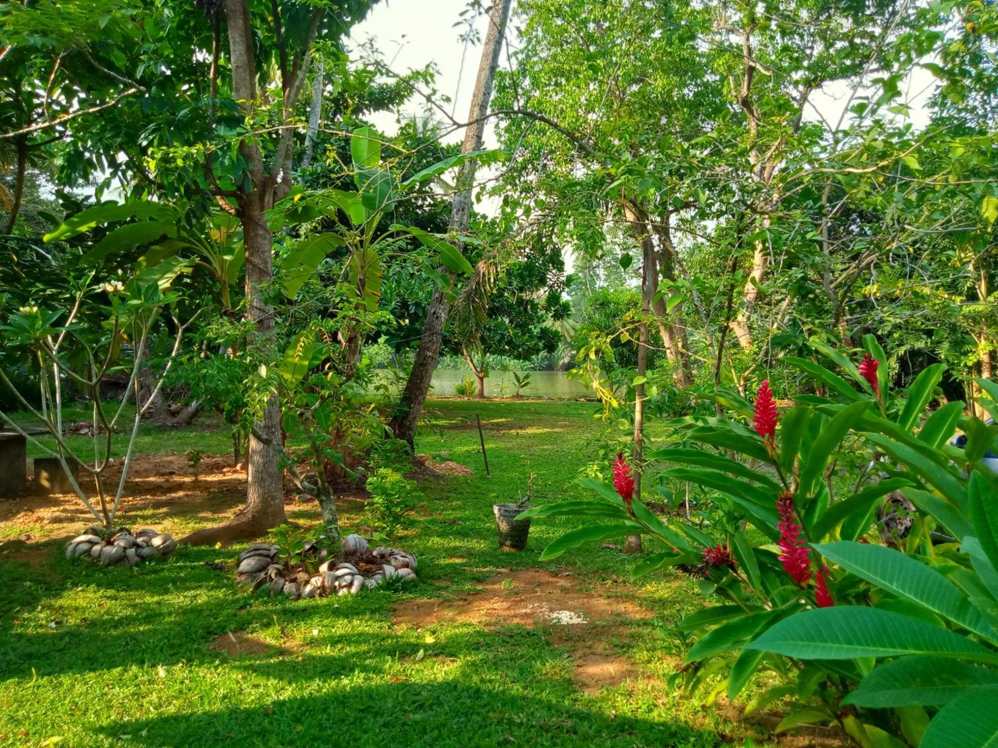 Aknara River Rest