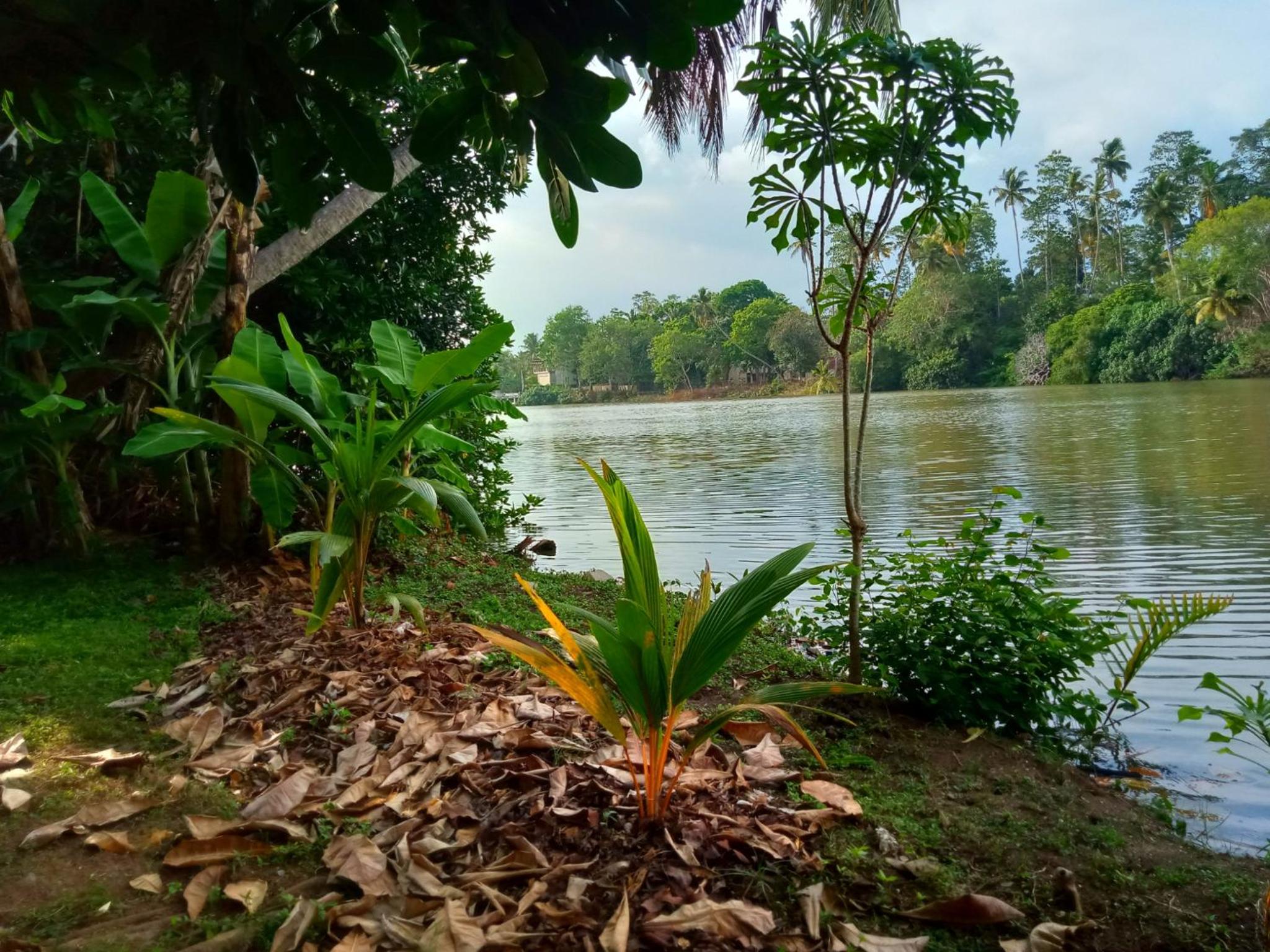 Aknara River Rest