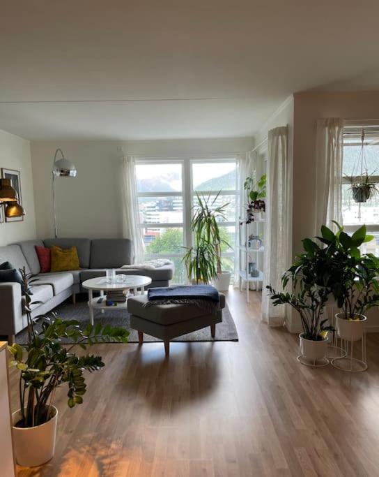 Great 2 bedroom apartment in Tromsø centrum! view 2