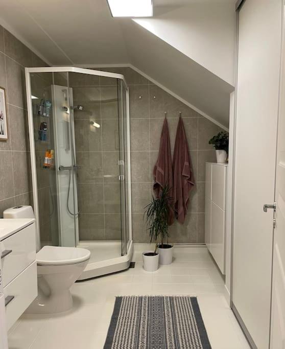 Great 2 bedroom apartment in Tromsø centrum! view 5