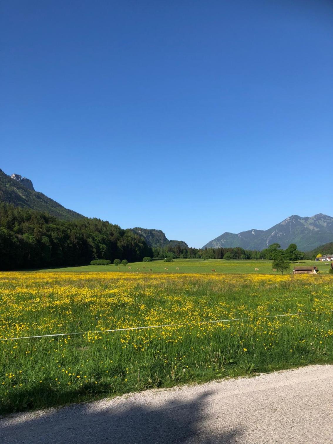 Haus Bergsteigerglück