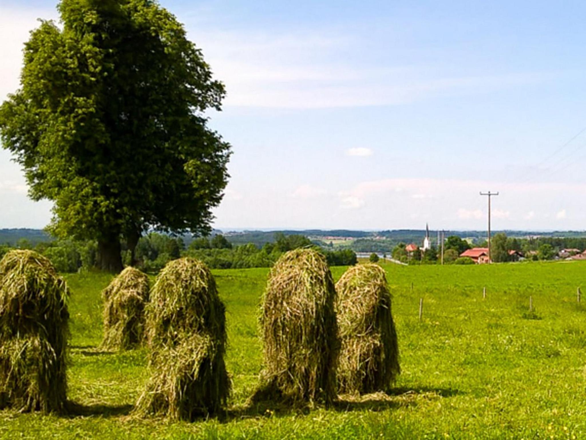 Huberhof