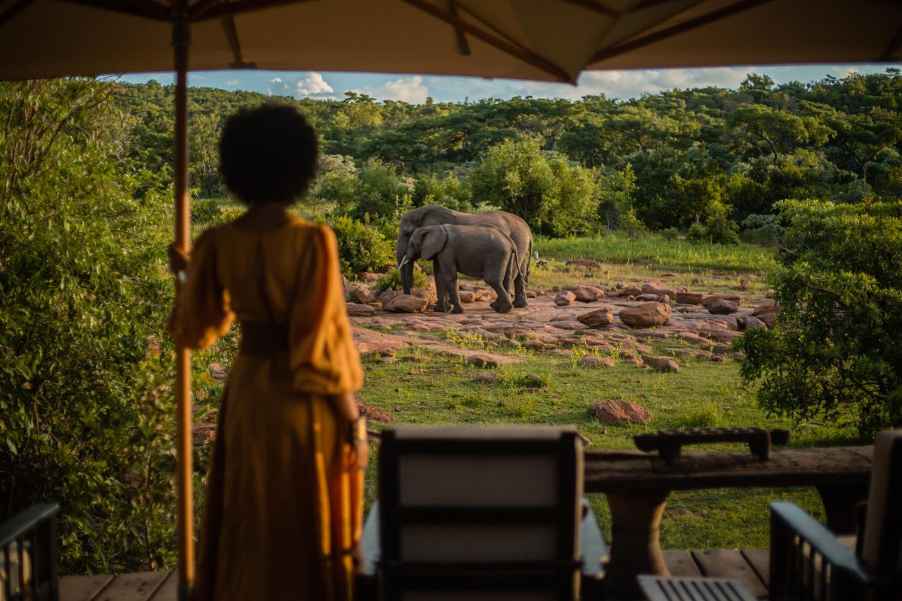 Makweti Safari Lodge view 2