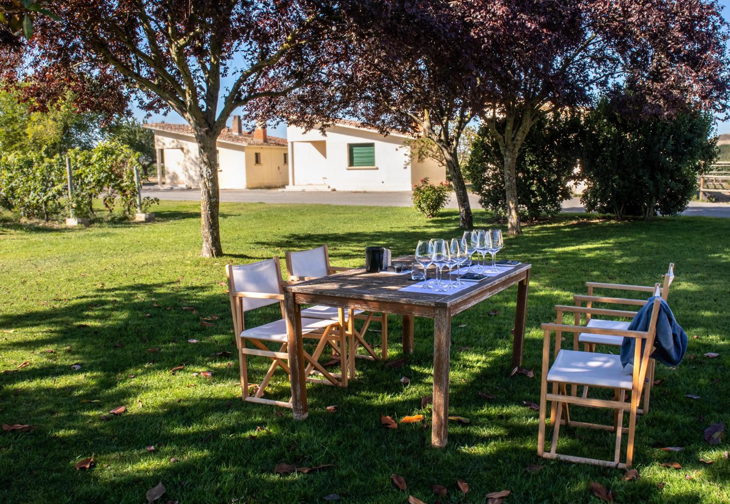 Apartamentos Casalarreina