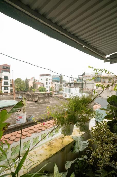 Comfortable bedroom with large balcony. - 1br