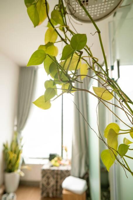 Comfortable bedroom with large balcony. - 1br