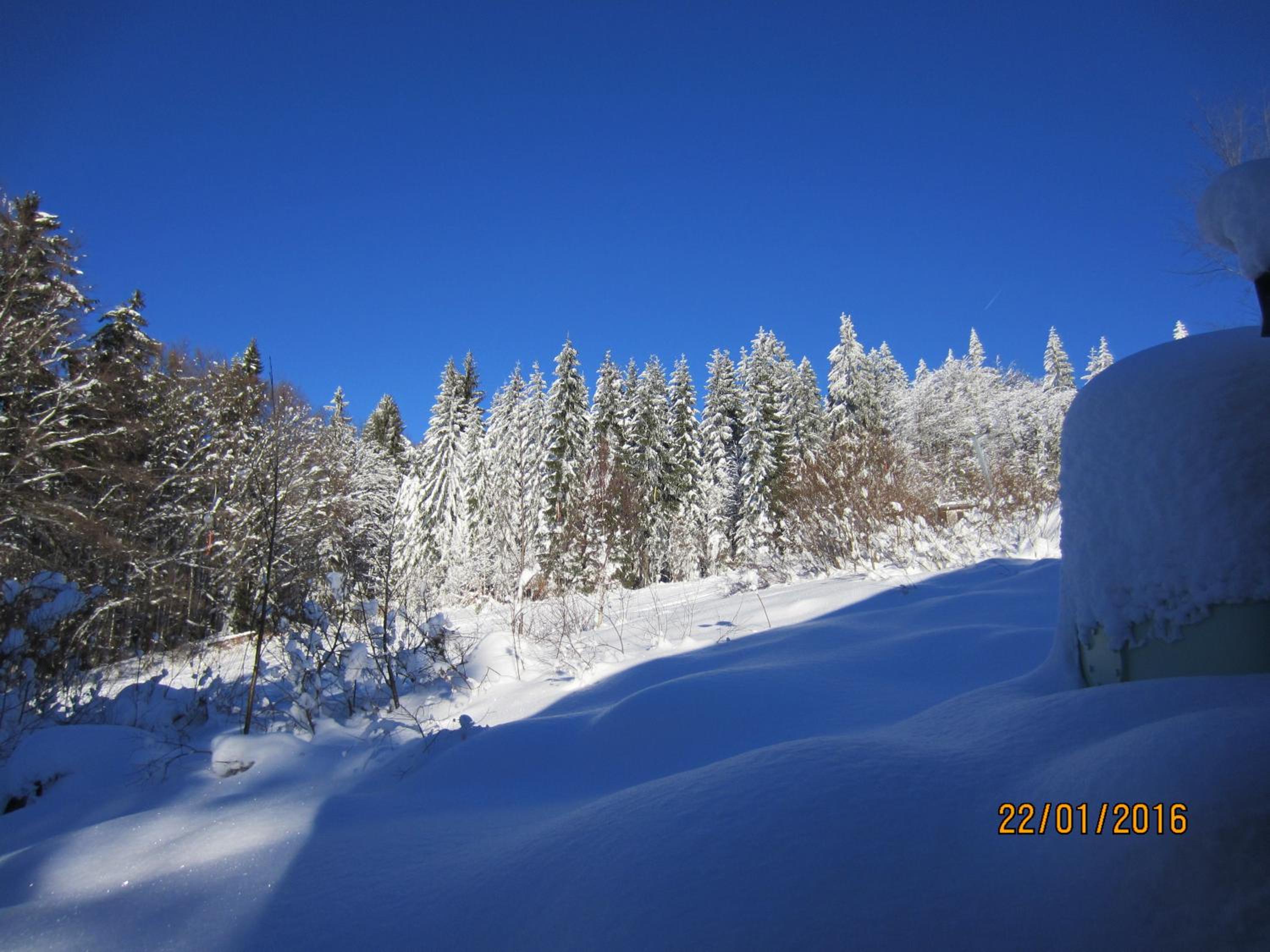 Berghütte Waldhäuser