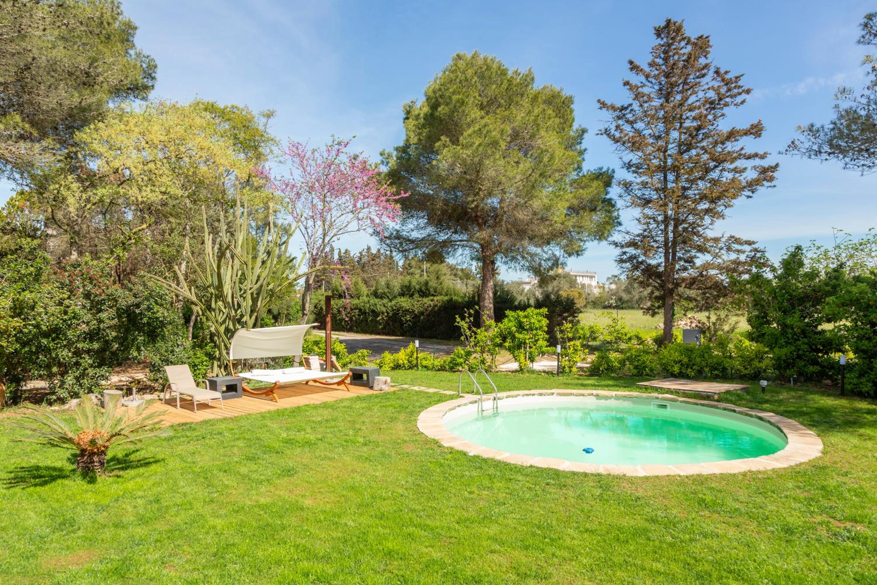 Photo 63
