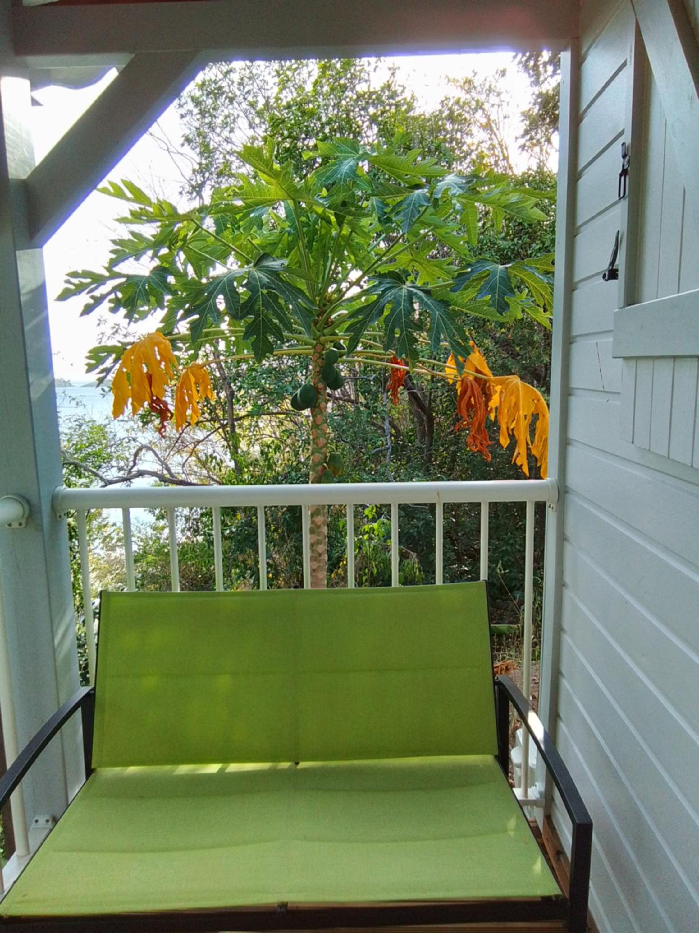 Maison TAMARIN