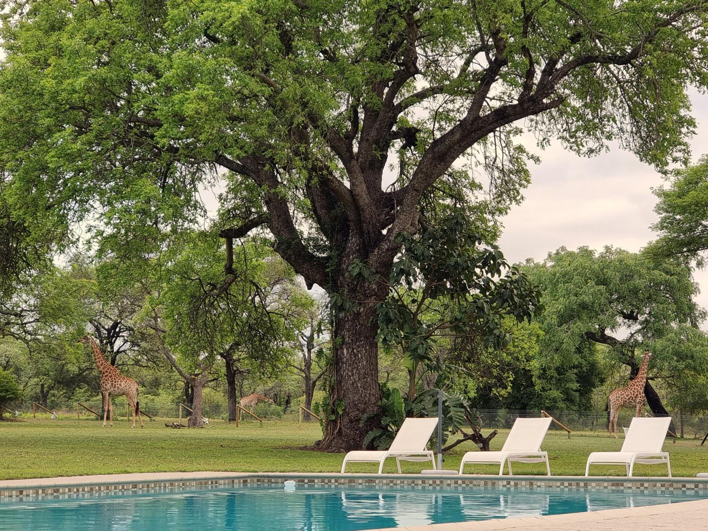 Unyati Safari Lodge