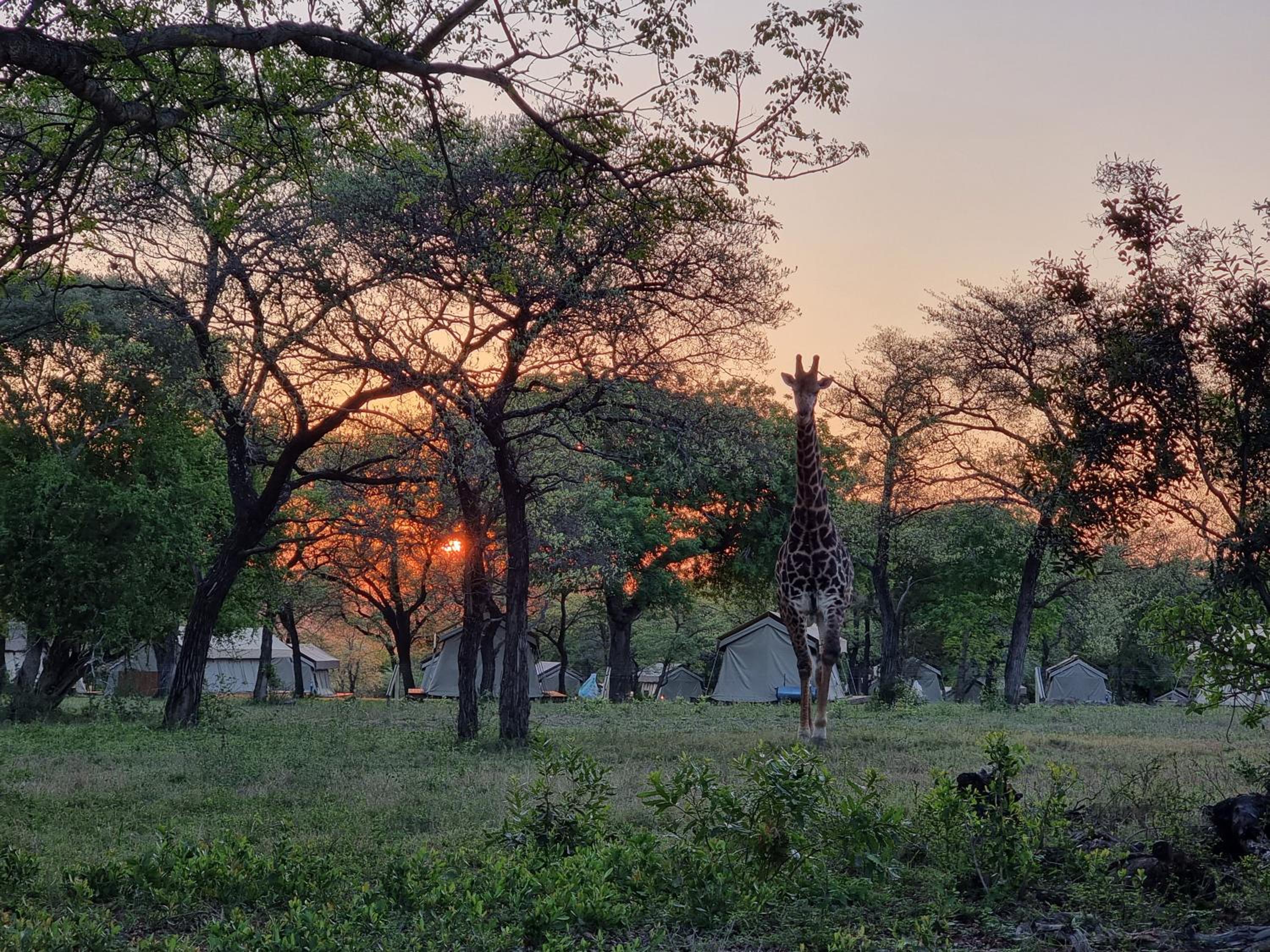 Unyati Safari Lodge